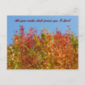 秋色4 ポストカード (正面)