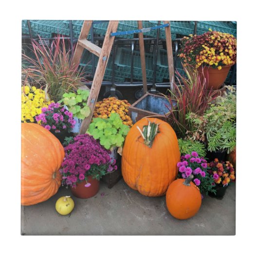 秋色 タイル (正面)