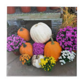 秋色 タイル (正面)