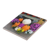 秋色 タイル (側面)