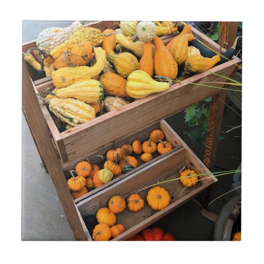 秋色 タイル (正面)