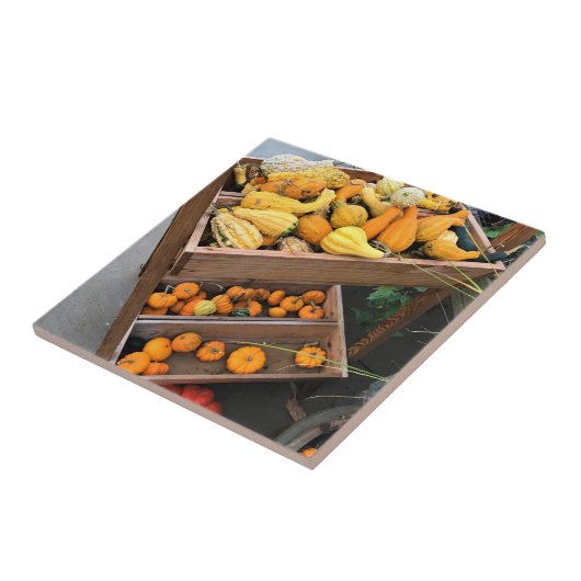 秋色 タイル (側面)