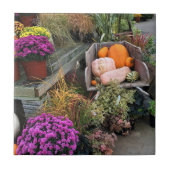 秋色 タイル (正面)