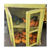 秋色 タイル (正面)