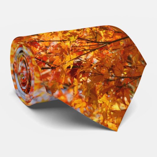 秋色 ネクタイ (ロール)