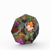 秋色 フォトブロック (左)