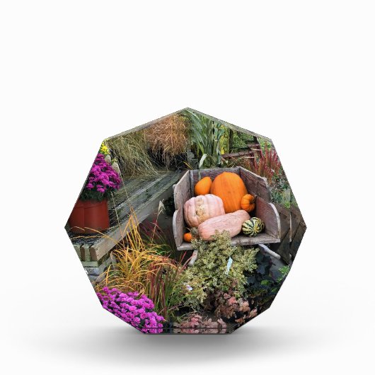 秋色 フォトブロック (正面)