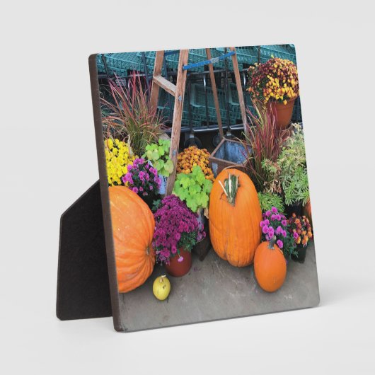 秋色 フォトプラーク (正面)