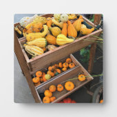 秋色 フォトプラーク (正面)