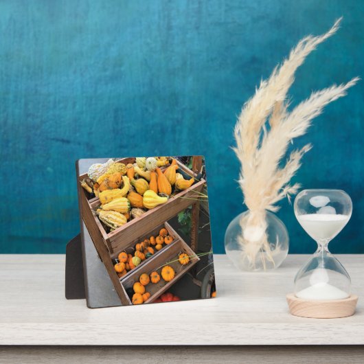 秋色 フォトプラーク (インサイチュ)