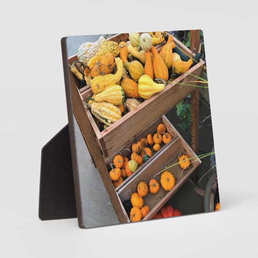 秋色 フォトプラーク (正面)