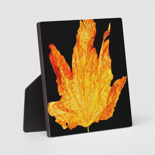 秋色 フォトプラーク (正面)