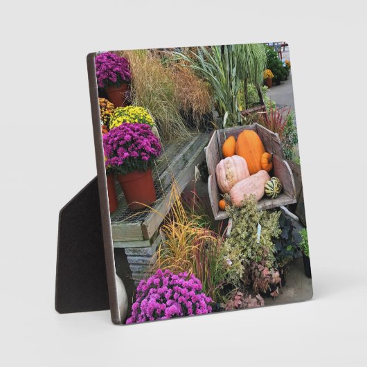 秋色 フォトプラーク (正面)