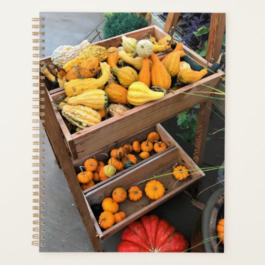 秋色 プランナー手帳 (正面)