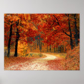 秋色 ポスター (正面)