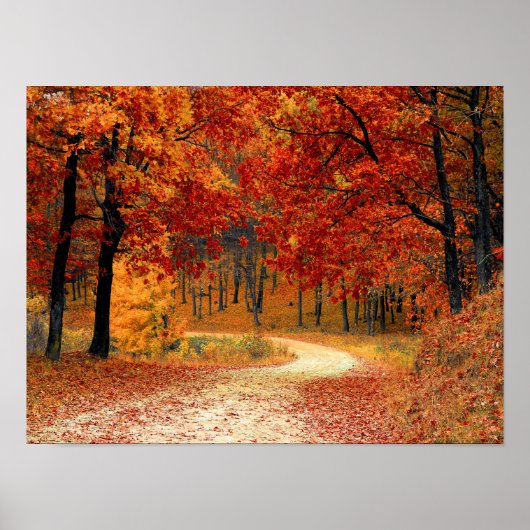 秋色 ポスター (正面)