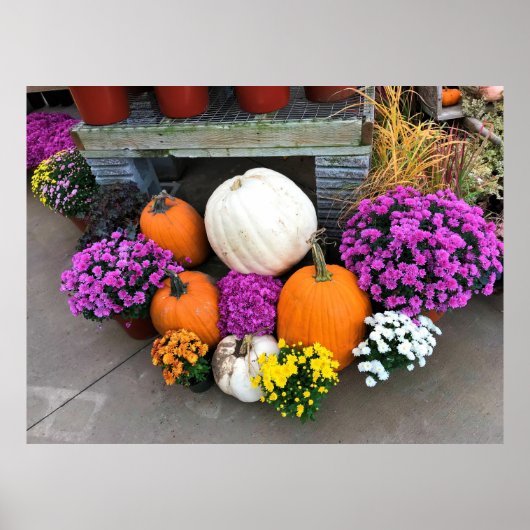 秋色 ポスター (正面)