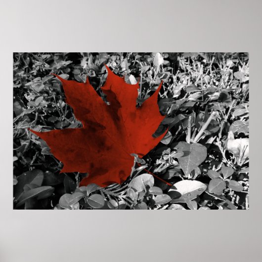 秋色 ポスター (正面)