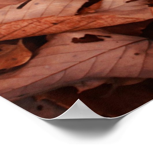 秋色 ポスター (角)