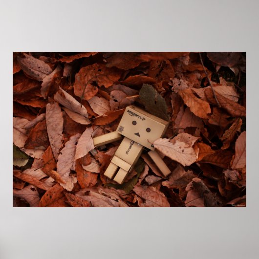 秋色 ポスター (正面)