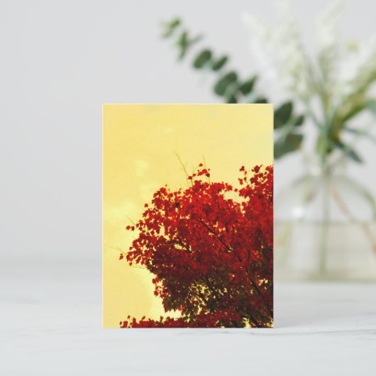 秋色 ポストカード (スタンド正面)