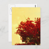 秋色 ポストカード (正面/裏面)