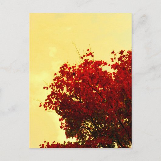 秋色 ポストカード (正面)