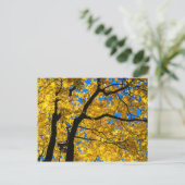 秋色 ポストカード (スタンド正面)