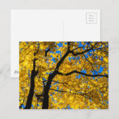 秋色 ポストカード (正面/裏面)