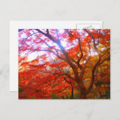 秋色 ポストカード (正面/裏面)