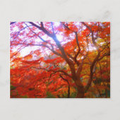 秋色 ポストカード (正面)