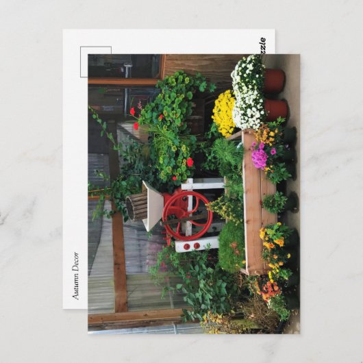 秋色 ポストカード (正面/裏面)