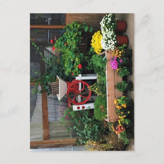 秋色 ポストカード (正面)