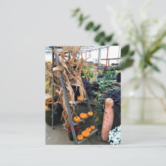 秋色 ポストカード (スタンド正面)