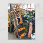 秋色 ポストカード (正面)