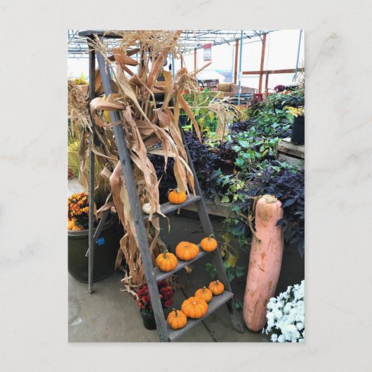 秋色 ポストカード (正面)