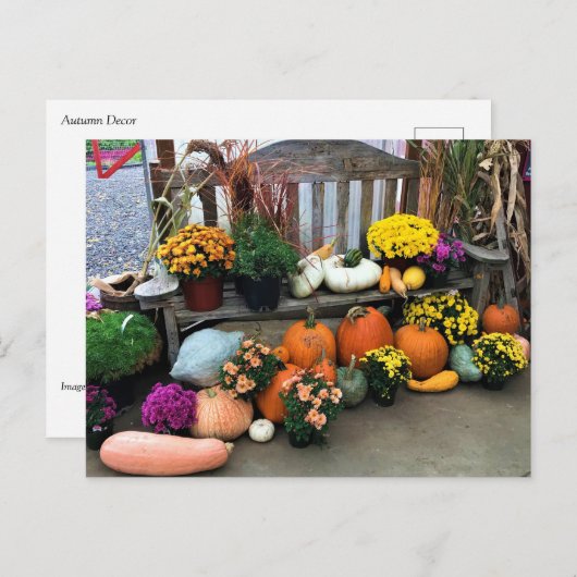 秋色 ポストカード (正面/裏面)