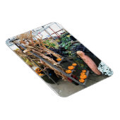 秋色 マグネット (右側)