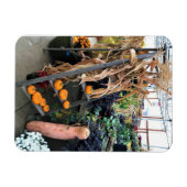 秋色 マグネット (横)