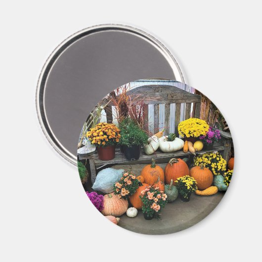 秋色 マグネット (正面/裏面)