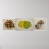 秋花 ポスター (正面)