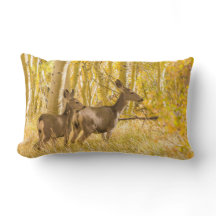 秋草原のラバシカの雌ジカそして子鹿