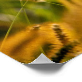 秋草 ポスター (角)