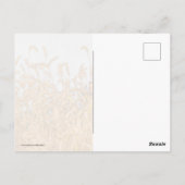 秋草 ポストカード (裏面)