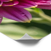 秋菊 ポスター (角)