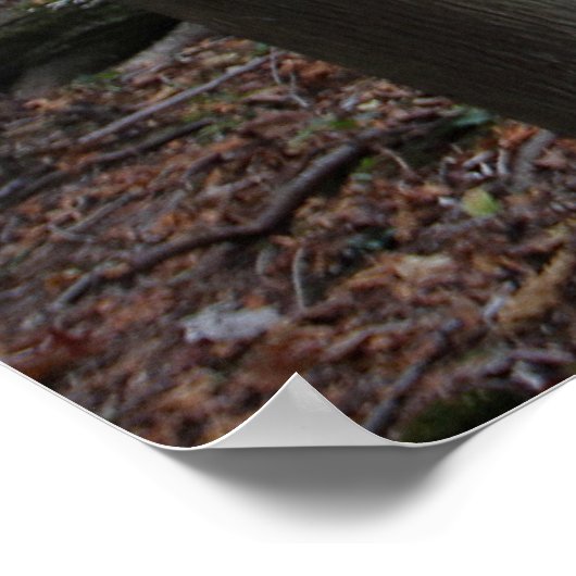 秋落ちたの深い林の古い木フェイク ポスター (角)