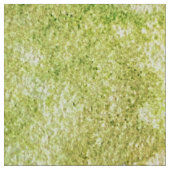 秋葉の雨 ファブリック (クローズアップ)