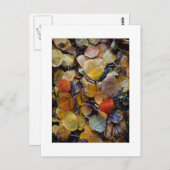 『秋葉パズル』 ポストカード (正面/裏面)