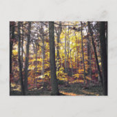 秋葉書カラフル白黒葉書 ポストカード (正面)