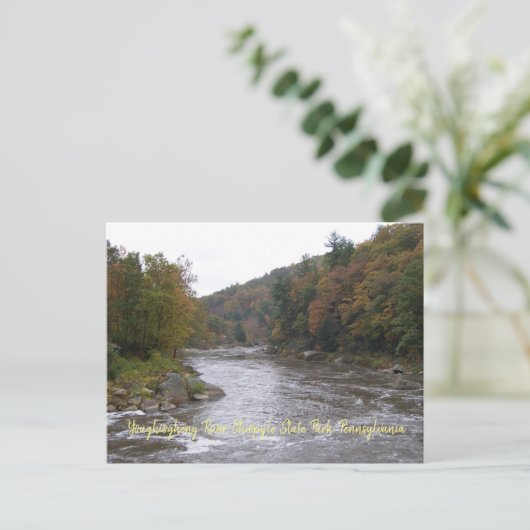 秋葉書 ポストカード (スタンド正面)